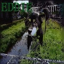 EDDIE / エディ / ＰＡＩＮＴ