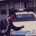 VAGINASORE JR / THIS HERE PENINSULA