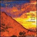 TINDERSTICKS / ティンダースティックス / FALLING DOWN A MOUNTAIN