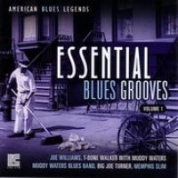 JOE WILLIAMS / ジョー・ウィリアムス / ESSENTIAL BLUES GROOVE VOL 1