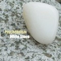 PSYCHEDEISM / ＷＨＩＴＥ　ＳＴＯＮＥ