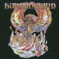 HUMMINGBIRD / ハミングバード / ハミングバ-ド