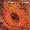 CATHERINE WHEEL / キャサリン・ホイール / FERMENT