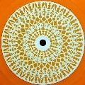 EVS/TMSV / DT08/SUBCONSCIOUS BRAIN