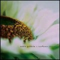 ROBIN GUTHRIE / ロビン・ガスリー / SUNFLOWER STORIES