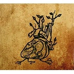 EPHEMERAL SUN / HARVEST AORTA