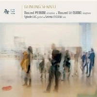VINCENT PEIRANI / ヴィンセント・ペイラニ / GUNUNG SEBATU