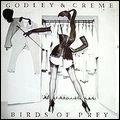 GODLEY & CREME / ゴドレイ・アンド・クレーム / バーズ･オブ･プレイ＋5（紙）