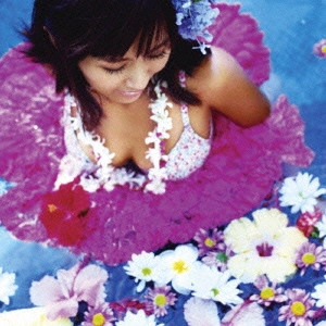 MINMI / HIBISCAS