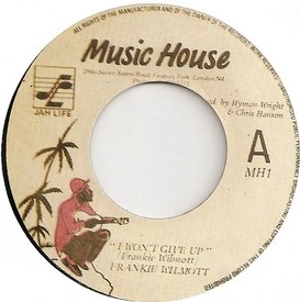 FRANKIE WILMOTT / I WON'T GIVE UP
