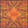 TUNNG / タン / HUSTLE