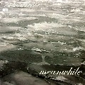 AUDIO WERNER / MEANWHILE