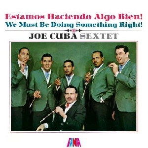 JOE CUBA / ジョー・キューバ / WE MUST BE DOING SOMETHING RIGHT