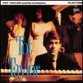 TOT TAYLOR / トット・テイラー / プレイタイム（紙ジャケット）