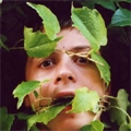 YOUNG GOVERNOR / ヤング・ガバナー / VIRGINIA CREEPER