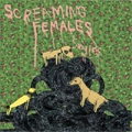 SCREAMING FEMALES / スクリーミングフィメイルズ / SINGLES