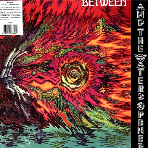 BETWEEN / ビトウィーン / AND THE WATERS OPENED
