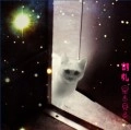 割礼 / 星を見る