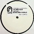 CAMO & KROOKED VS BODY & SOUL / BIG RUSH/BRAVE NEW WORLD(PROMO)