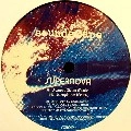 SUPERNOVA (HOUSE) / SWEET DISCO MUSIC