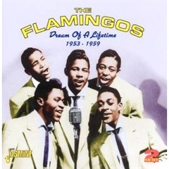 FLAMINGOS / フラミンゴス / DREAM OF A LIFETIME