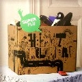 SUPER FLU / HEIMATMELODIEN