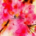 CHEE / チー / 春の予感