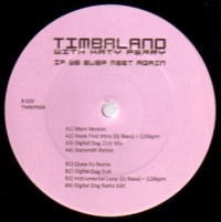 TIMBALAND / ティンバランド / IF WE EVER MEET AGAIN