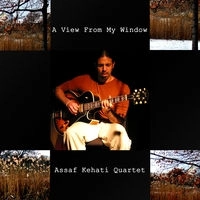 ASSAF KEHATI / A VIEW FROM MY WINDOW