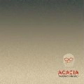 YOSHIHIRO HANNO / 半野喜弘 / ＡＣＡＣＩＡ