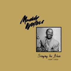 MUDDY WATERS / マディ・ウォーターズ / SINGIN' THE BLUES(1954-1959)
