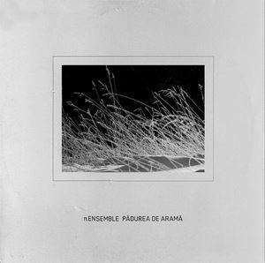 TT ENSEMBLE / PADUREA DE ARAMA