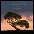 TRIFFIDS / トリフィッズ / WIDE OPEN ROAD: BEST OF