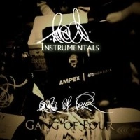 TETRAD THE GANG OF FOUR / ＩＮＳＴＲＵＭＥＮＴＡＬＳ