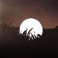 RIPPERTON / リッパートン / RANDOM VIOLENCE