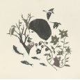 轟渚 / 夜明けの唄