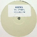 OTHERS (DRUM & BASS) / 100 DOLLAR BILLS