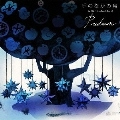 Predawn / 手のなかの鳥