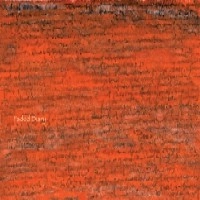 PRAED&TAKUMI SEINO / プラエド&清野拓巳 / Ｆａｄｅｄ　Ｄｉａｒｙ