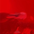 FRICTION / フリクション / 2013－Live Friction