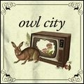 OWL CITY / アウル・シティー / OWL CITY RECORD STORE DAY 7 INCH