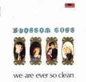 BLOSSOM TOES / ブロッサム・トウズ / WE ARE EVER SO CLEAN