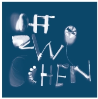 SEBASTIAN LEXER / セバスチャン・レクサー / DAZWISCHEN