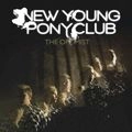 NEW YOUNG PONY CLUB / ニュー・ヤング・ポニー・クラブ / OPTIMIST