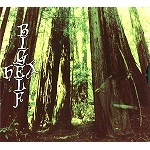 BIGELF / ビッグエルフ / HEX