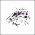 BARDO POND / バルドー・ポンド / BUFO ALVARIUS