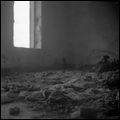 RAFAEL ANTON IRISARRI / REVERIE