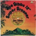 JOE GIBBS / ジョー・ギブス / 12" REGGAE DISCOMIX SHOWCASE VOL.5