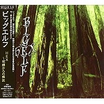 BIGELF / ビッグエルフ / ＨＥＸ