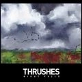 THRUSHES / スラッシズ / NIGHT FALLS